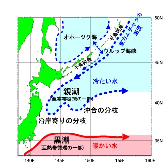 黒潮と親潮の動き