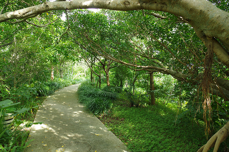 「テレスタディも当たり前」コロナ禍で見つけた新しい勉強スタイルとは